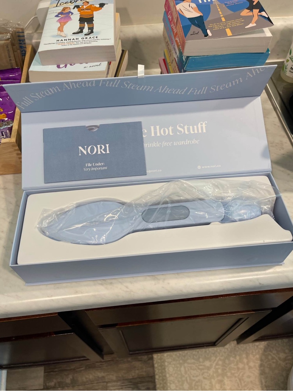 NEW nori press handheld steamer iron light blue